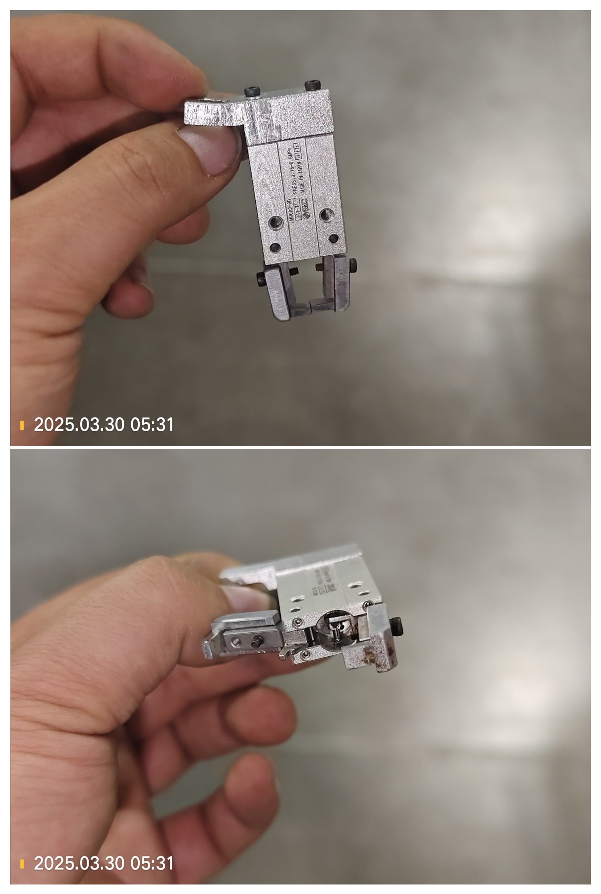 1000199067.jpg